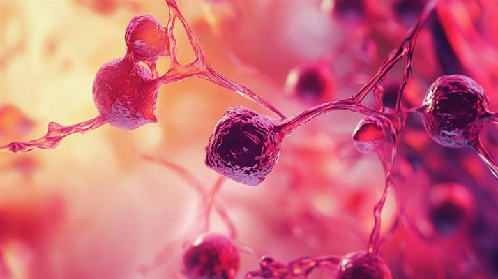 Jernmangel - arsager, symptomer og behandling